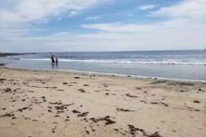 Flip Flop Beach Rental