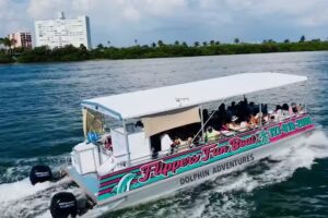 Flippers Fun Boat Clearwater – #1 Dolphin Tour