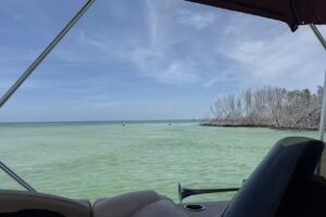 Float Your Boat Tours