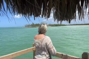 Floating turtle cruises