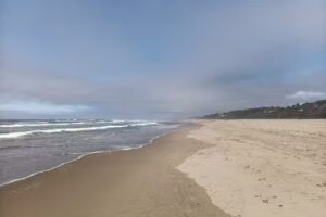 Florence Vacation Rentals and Cabins by Vacasa