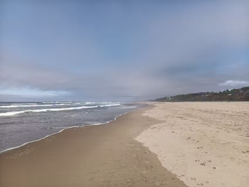 Florence Vacation Rentals and Cabins by Vacasa