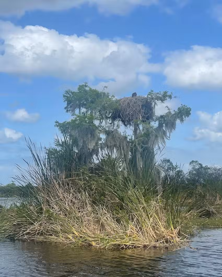 Florida Cracker Airboat Rides & Guide Service