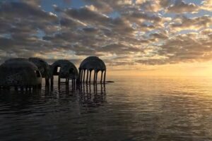 Florida Island Tours