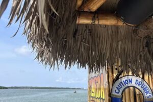 Florida Tiki Tours