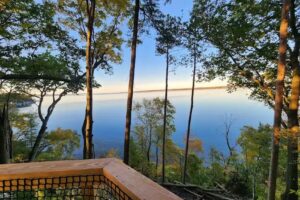 FLX Retreats Seneca Lake Treehouses