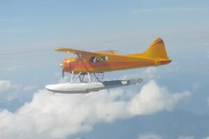 Fly 2 Whales – Seattle Whale Watching Flight Package