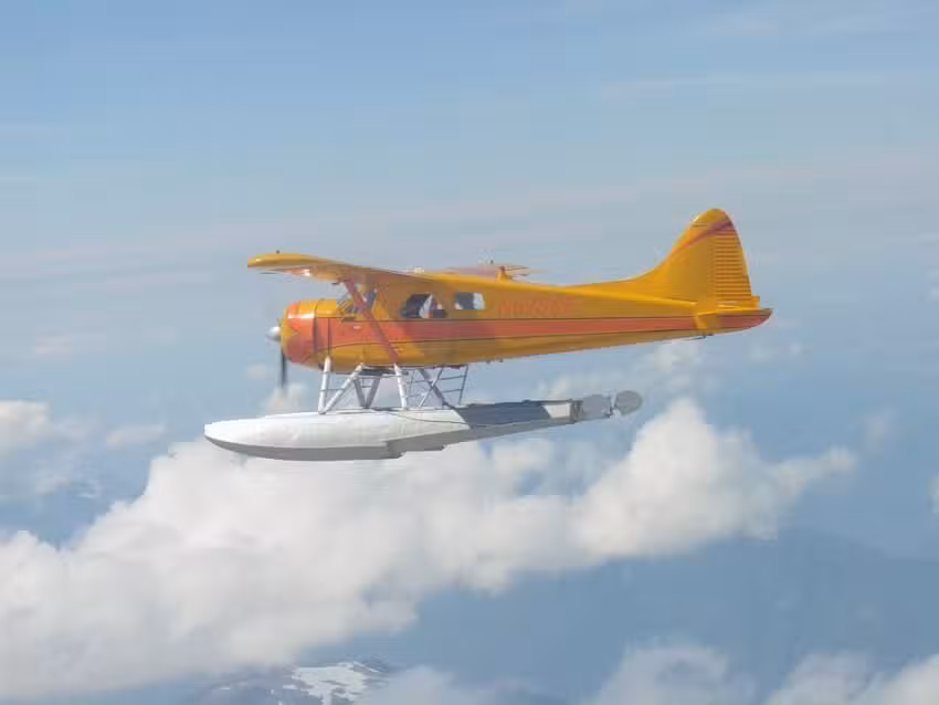 Fly 2 Whales – Seattle Whale Watching Flight Package