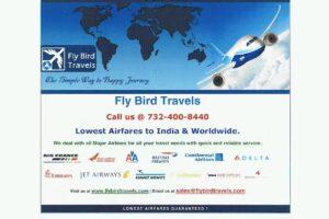 Fly Bird Travels