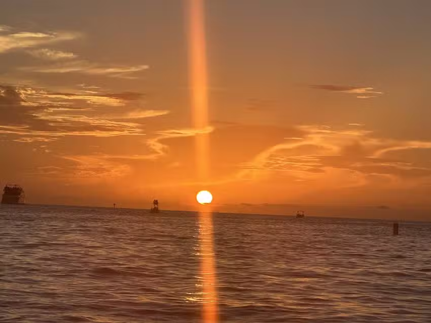 Flying Pelican Tours