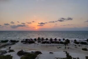 Foerster Travel, Inc.