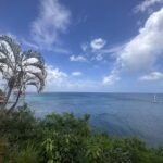 Foerster Travel, Inc.