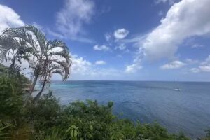 Foerster Travel, Inc.