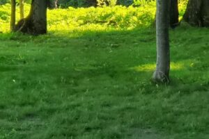 Foggy Bottom campground and marina