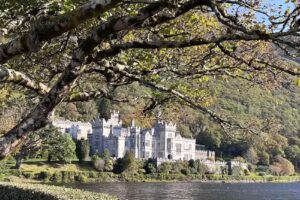 Foremost Travel & Tours