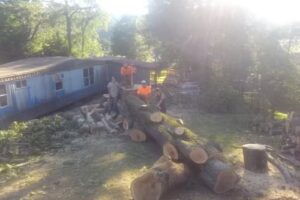 Forest County Visitor Center