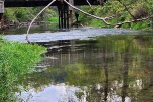 Forestville State Park Office