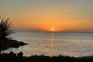 Forgotten Shores Properties