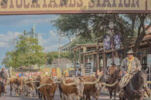 Fort Worth Stockyards
