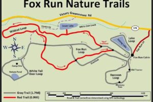 Fox Run Cabin, East Bernstadt, Kentucky