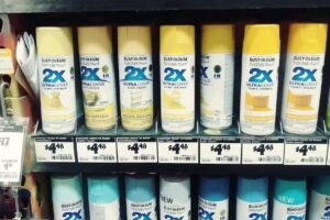 Fox Travel Agency LLC