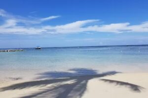 Frankie Plunk Travel Services