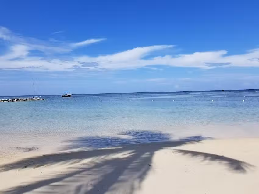 Frankie Plunk Travel Services