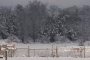 Freedom’s Pass Horse Ranch