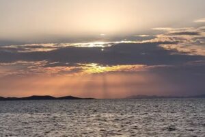 Freedom Travel by Sharon