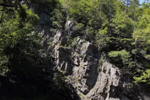 French Broad Adventures