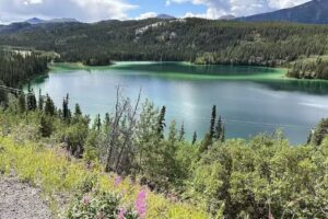 Frontier Excursions & Adventures