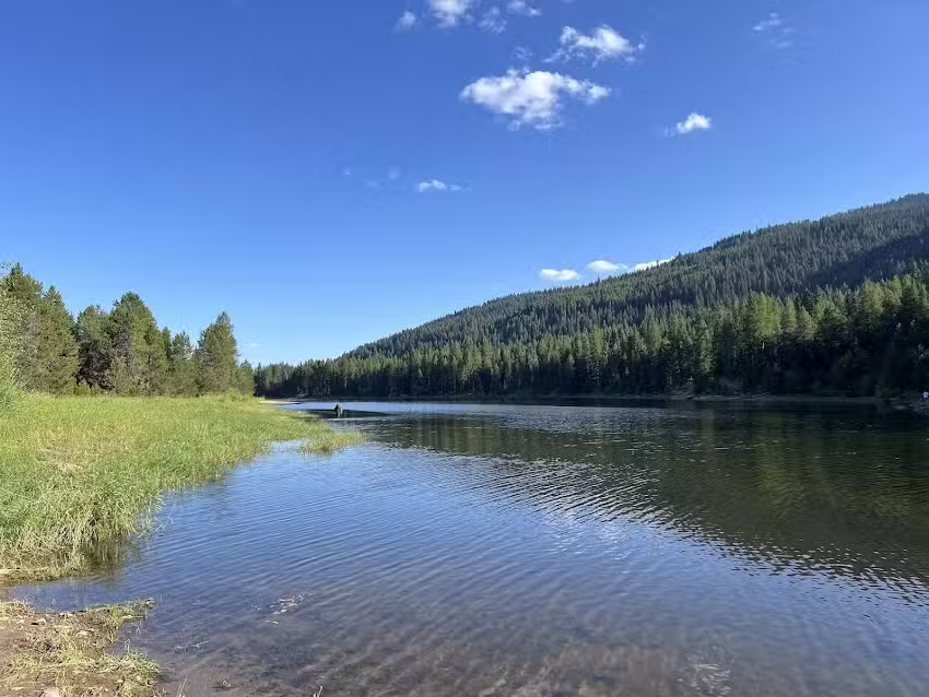 Frost Property Management