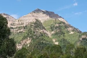 Full Sails Travel, LLC