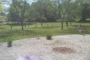 Fun Timez Travel Agency