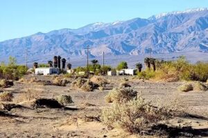 Furnace Creek Stables