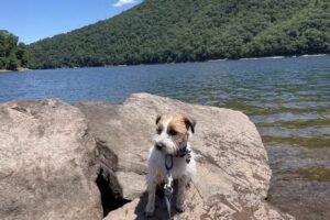 Garrett County Chamber of Commerce