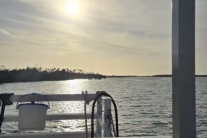 Gasparilla Boat Tours