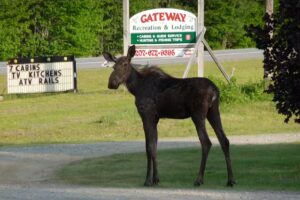 Gateway Recreation & Lodging