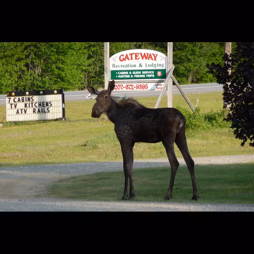 Gateway Recreation & Lodging