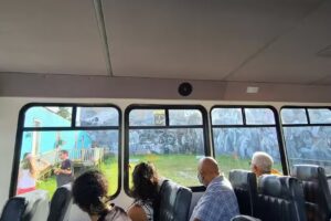 Gators and Ghosts: New Orleans Tours