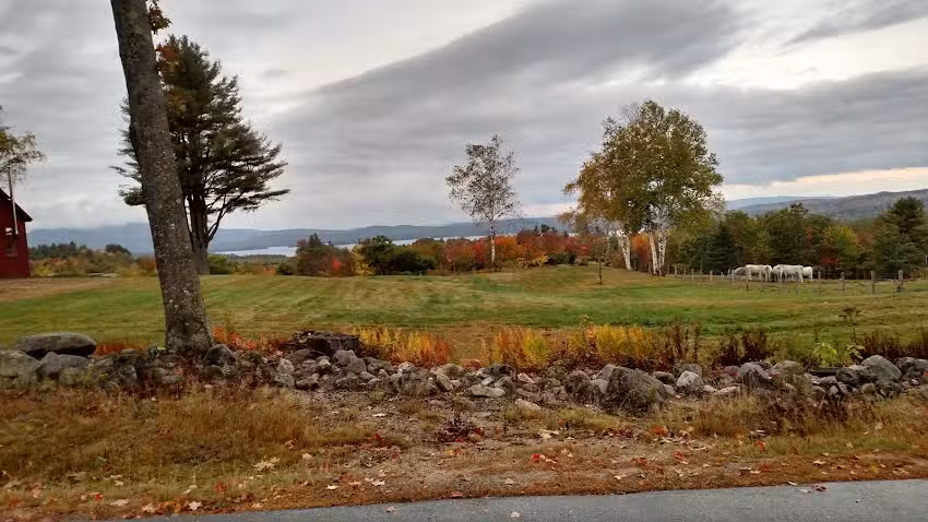 Georges Mills Cottages & Lodging