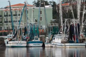 Georgia Tidewater Outfitters