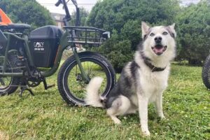 Get Outside KY | GOKY