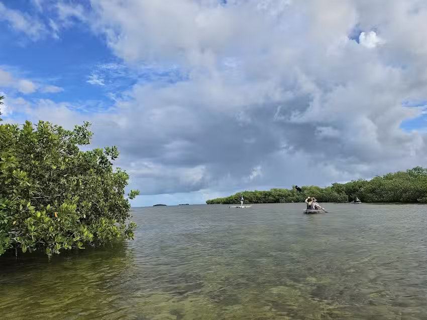 Get Up And Go Kayaking &ndash; Florida Keys