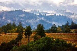 Geyserville Chamber of Commerce