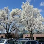 Global Connections Inc