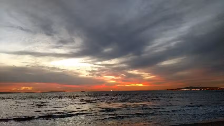 Global Discovery Vacations