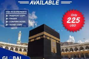 Global Tours And Travel Inc