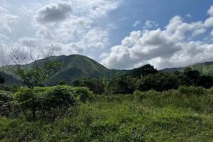 Global Tours & Travel Inc