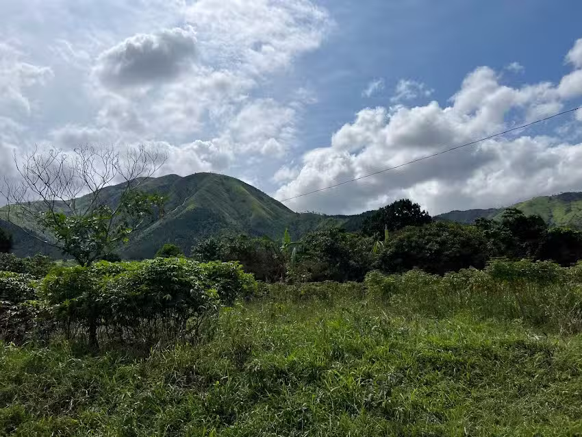 Global Tours & Travel Inc